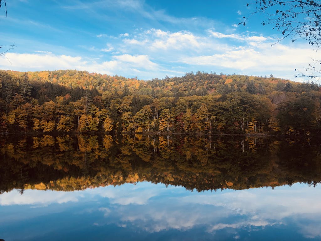 Calm Body Of Water